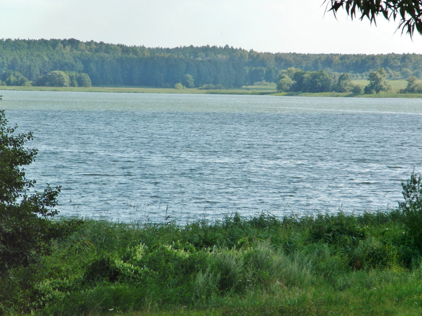 Frische Brise am Kleeberger See