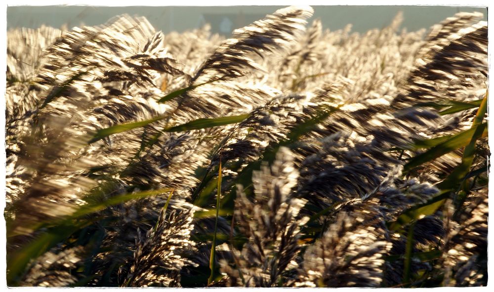 Frische Brise.... Foto & Bild jahreszeiten, sommer, landschaften