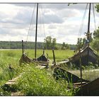 Frische Brise im Hafen von Birka