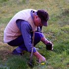 Frische Brunnenkresse - damit wird Opa Hannes bestimmt 100 !