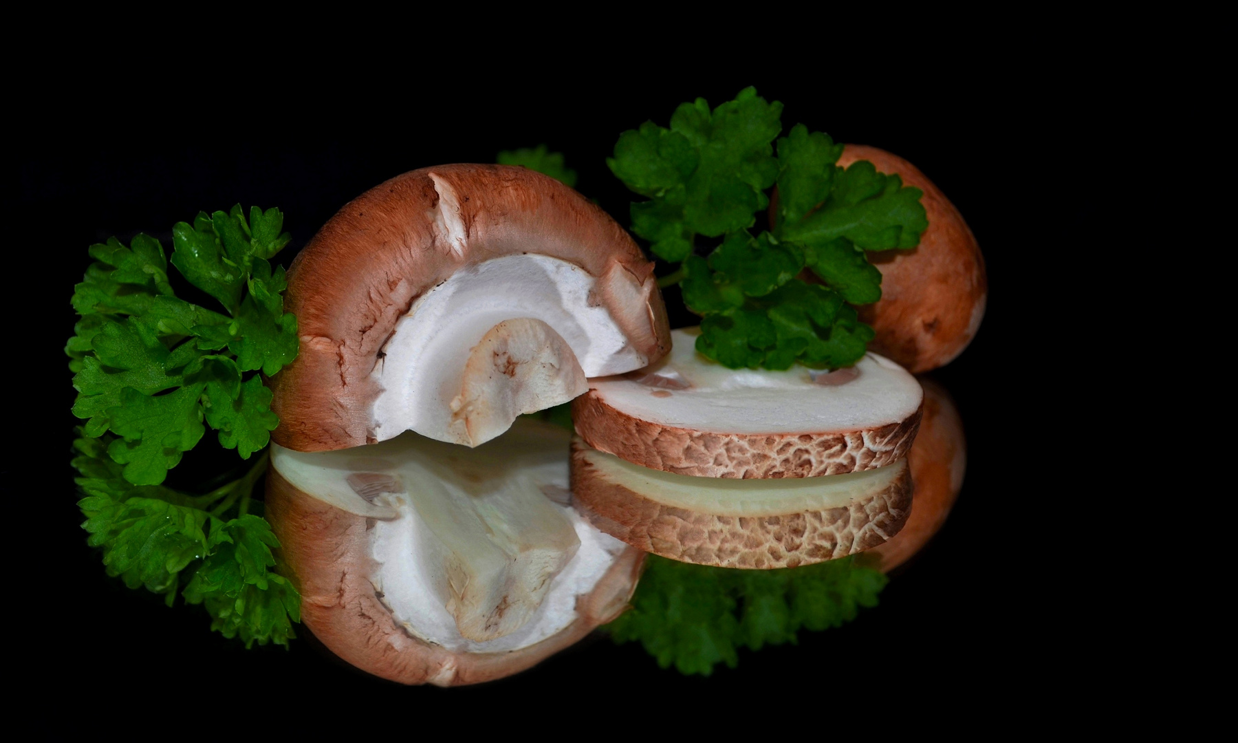 ~ frische Champignons ~