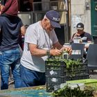 Frische direkt vom Markt