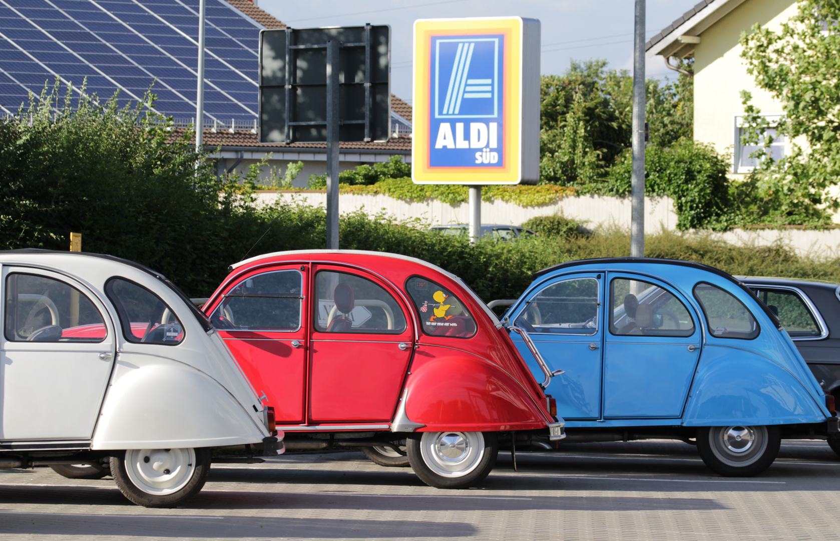 Frische Enten bei Aldi Süd