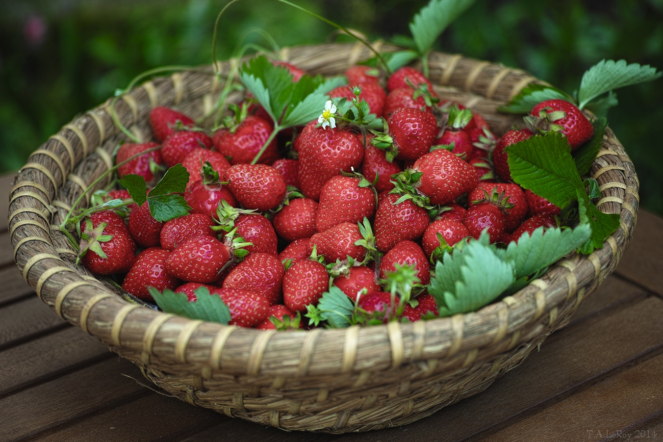 Frische Erdbeeren