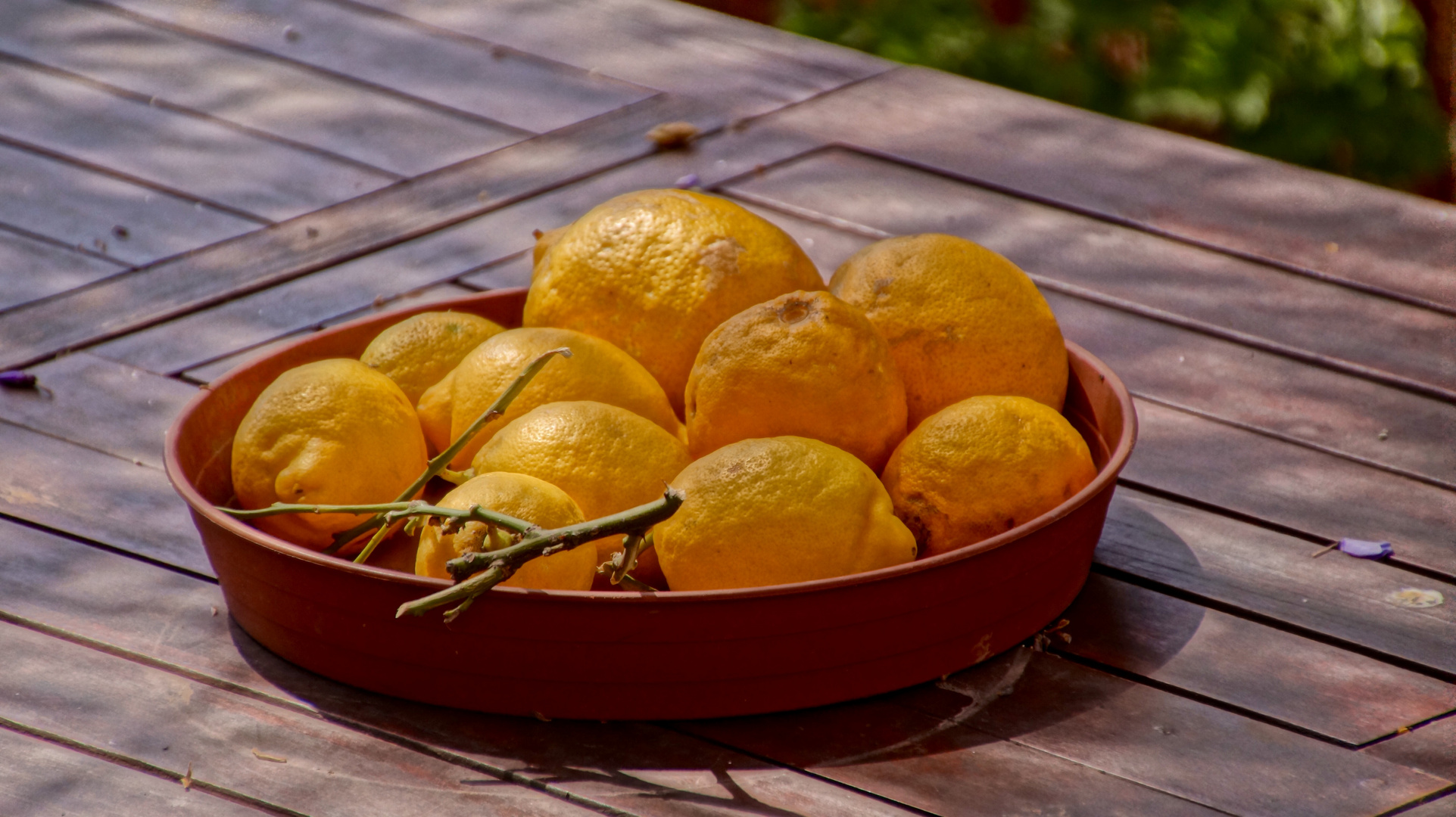 frische Ernte dekoriert zugleich den Tisch