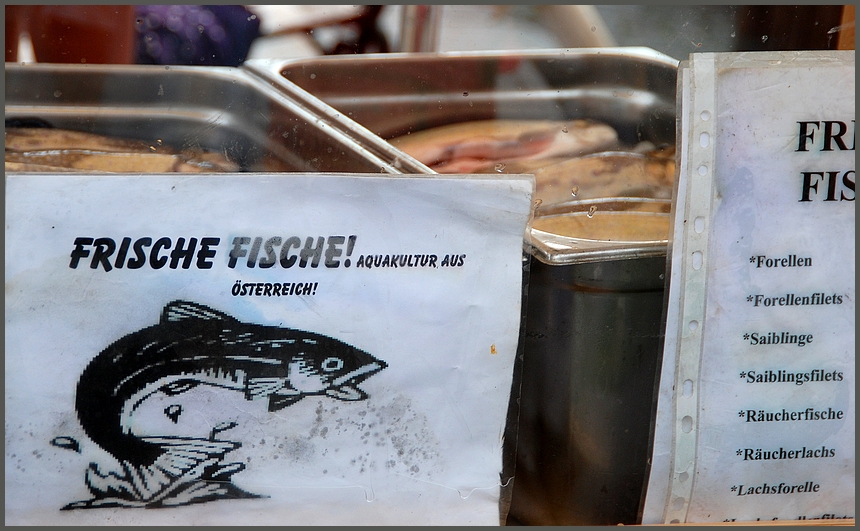 frische fische aus dem traunsee gibt`s auch