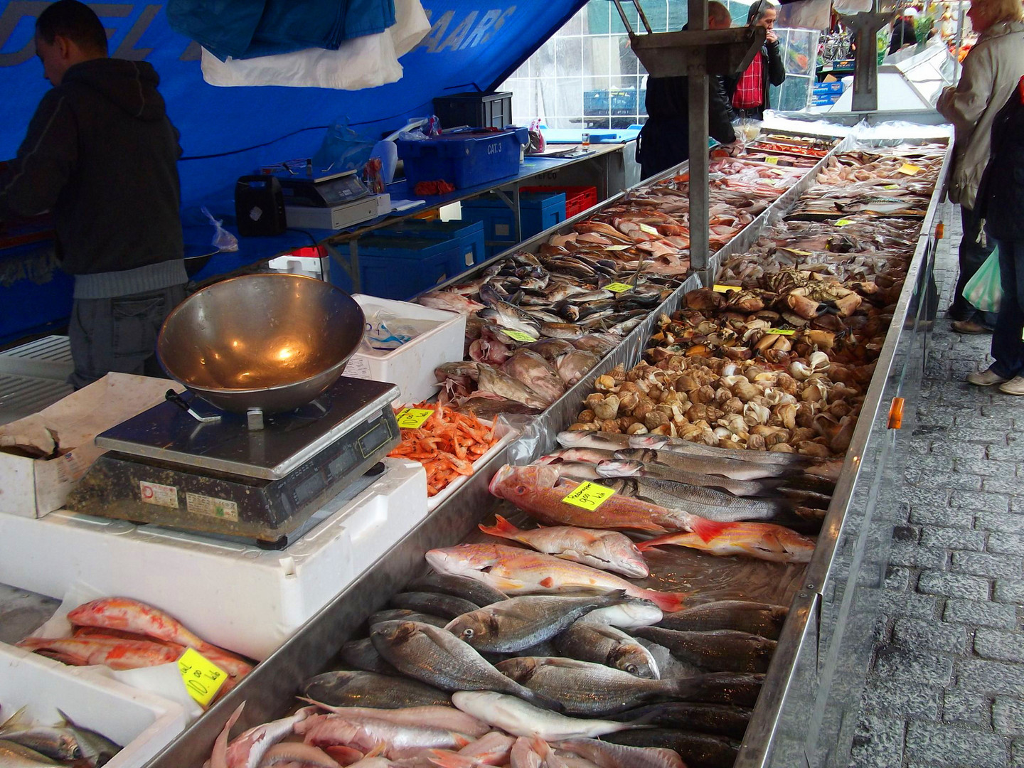 Frische Fische in Den Bosch