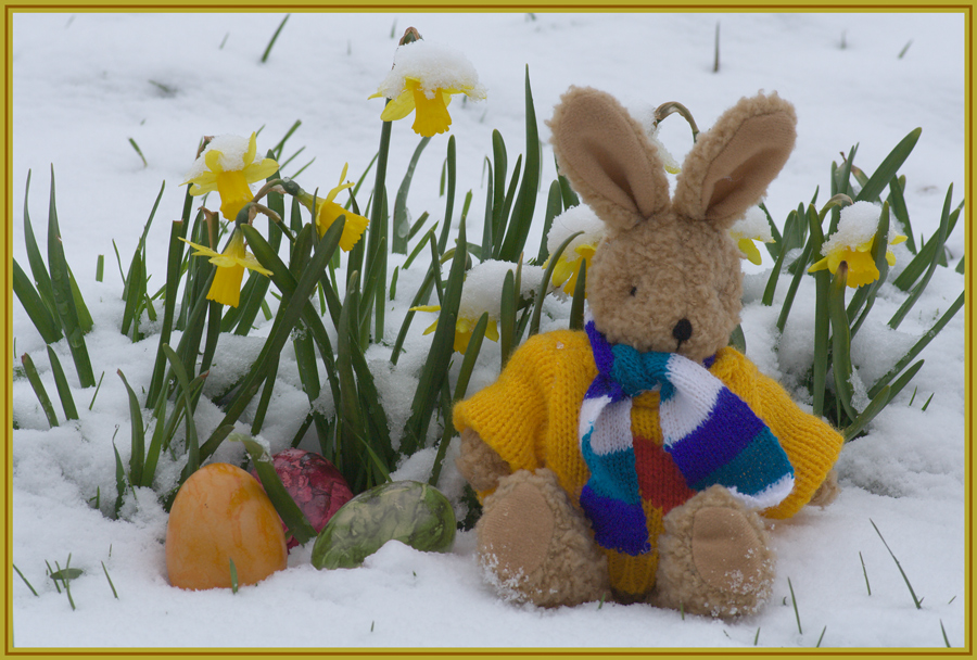 Frische Frostige Frohe Ostern ! -2008-