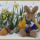 Frische Frostige Frohe Ostern ! -2008-