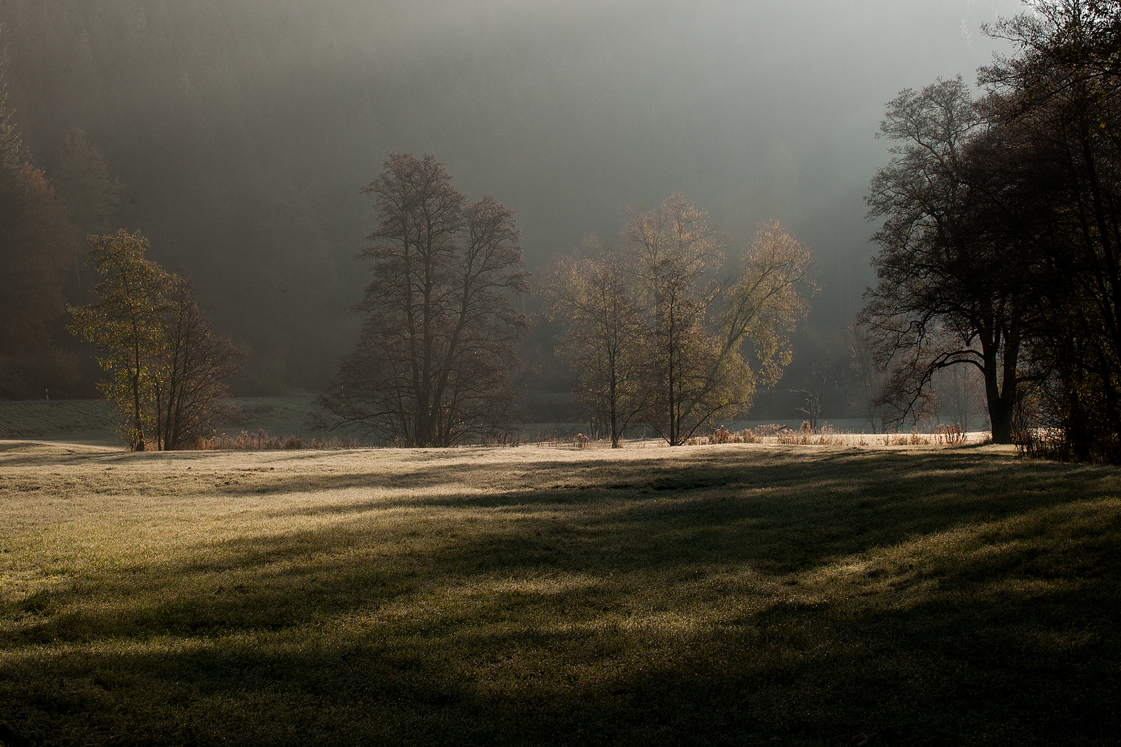 Frische Herbstfotos Nov. 2018