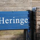 Frische Heringe