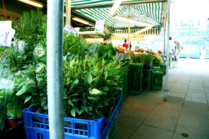 Frische Kräuter am Viktualienmarkt