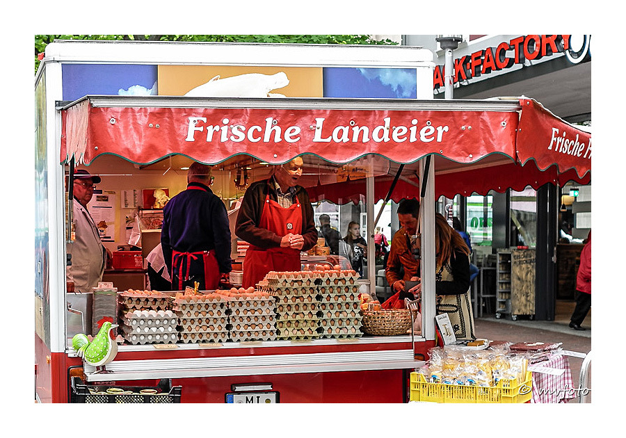 Frische Landeier