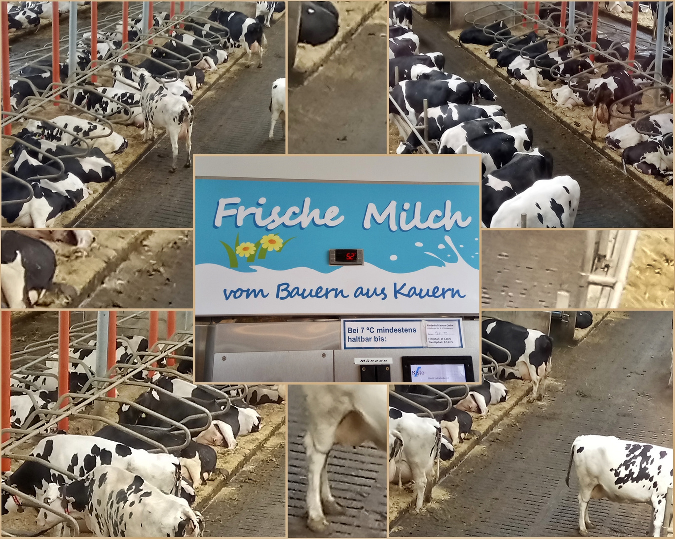 Frische Milch vom Bauern 