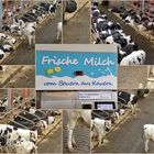 Frische Milch vom Bauern 