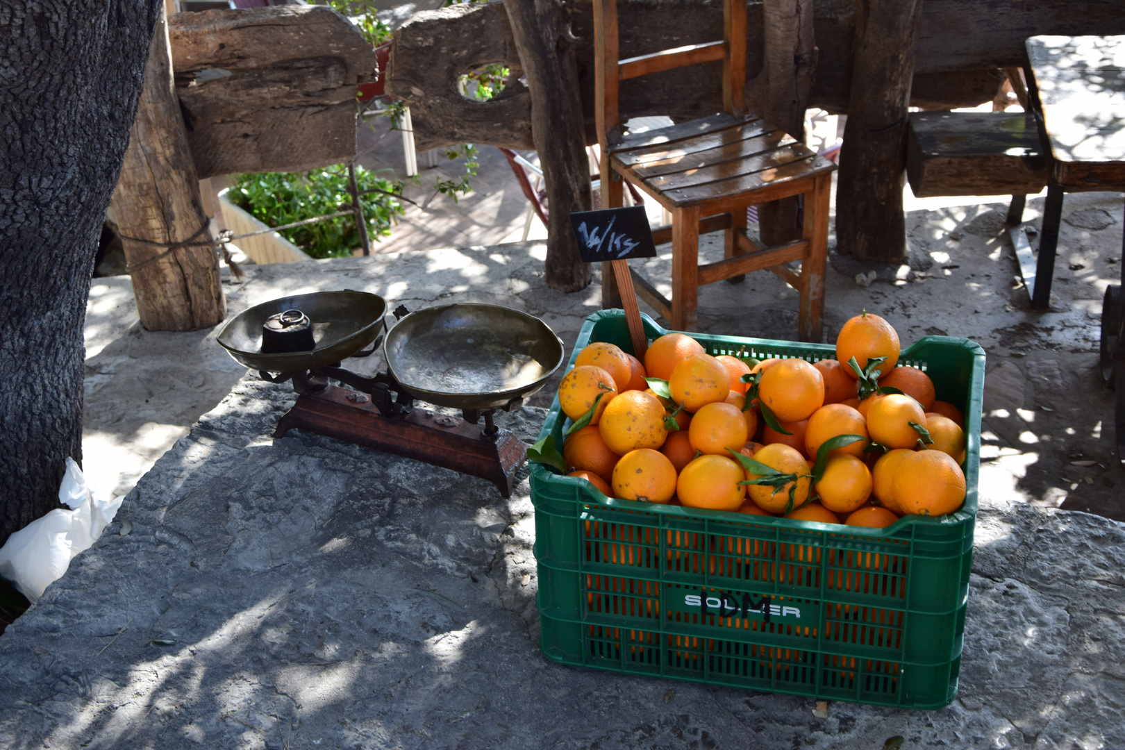 frische Orangen