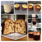 Frische Panettone