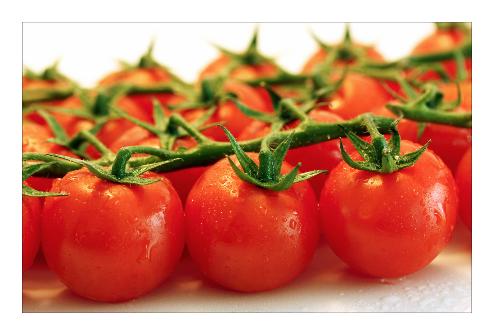 frische Tomaten