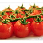 frische Tomaten