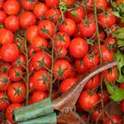 Frische Tomaten auf dem Markt von Santany, Mallorca