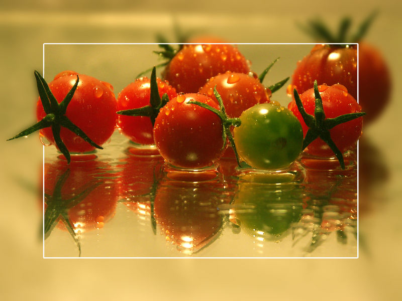 Frische Tomaten