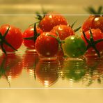 Frische Tomaten