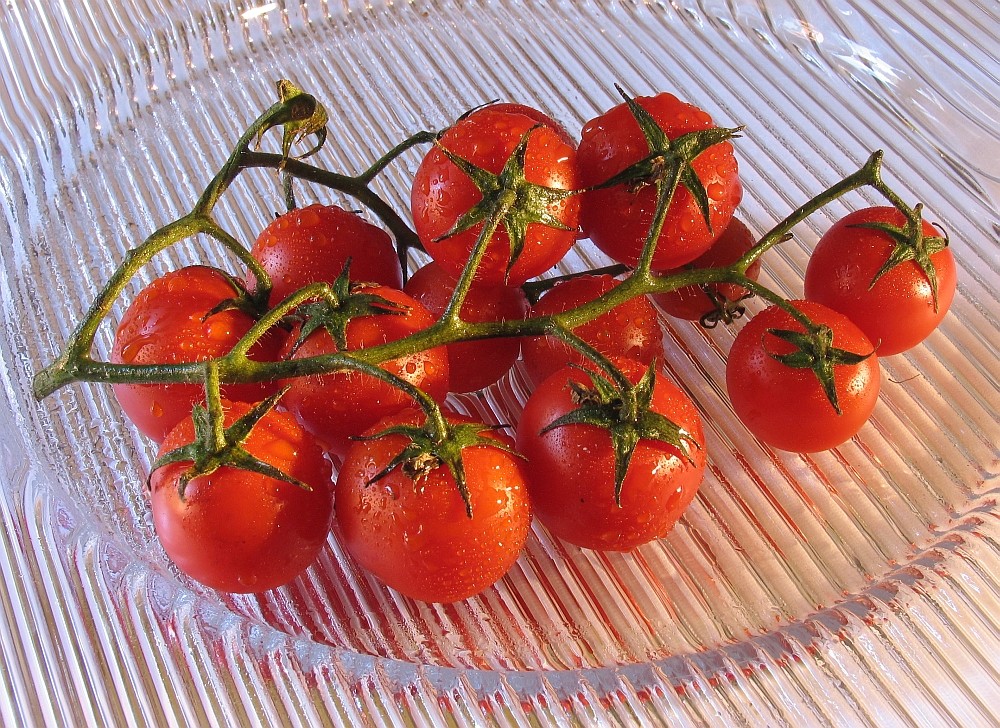 Frische Tomaten