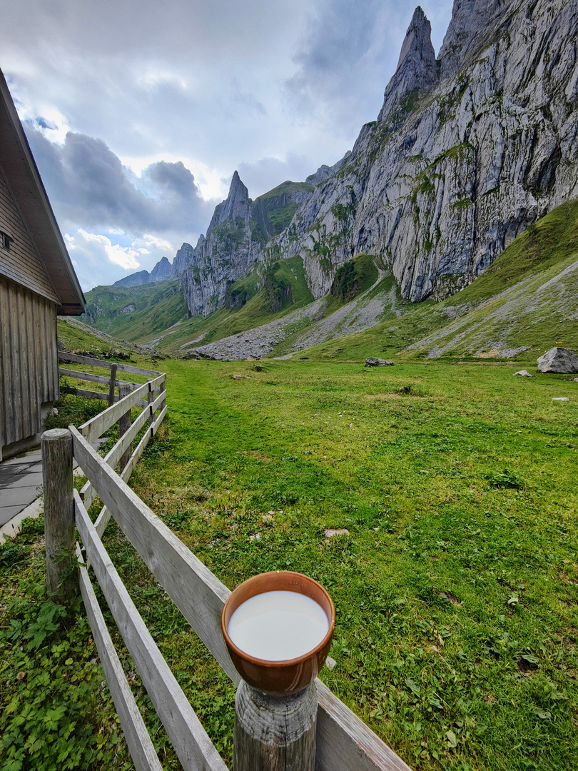 frische Ziegenmilch