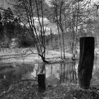 Frischer April im Waldnaabtal