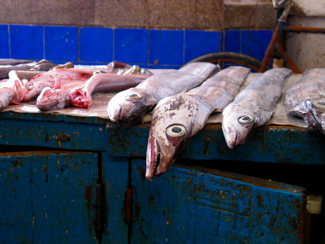 Frischer Fisch auf dem Markt von Agadir