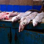 Frischer Fisch auf dem Markt von Agadir