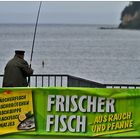 frischer fisch...