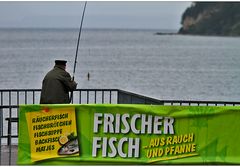 frischer fisch...