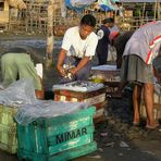 Frischer Fisch - vom Boot sofort zum Markt