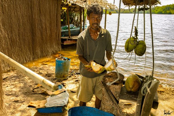 Frischer geht nicht mehr / It couldn't be fresher