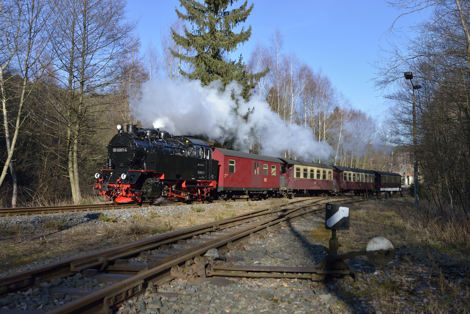 Frischer Glanz im Selketal