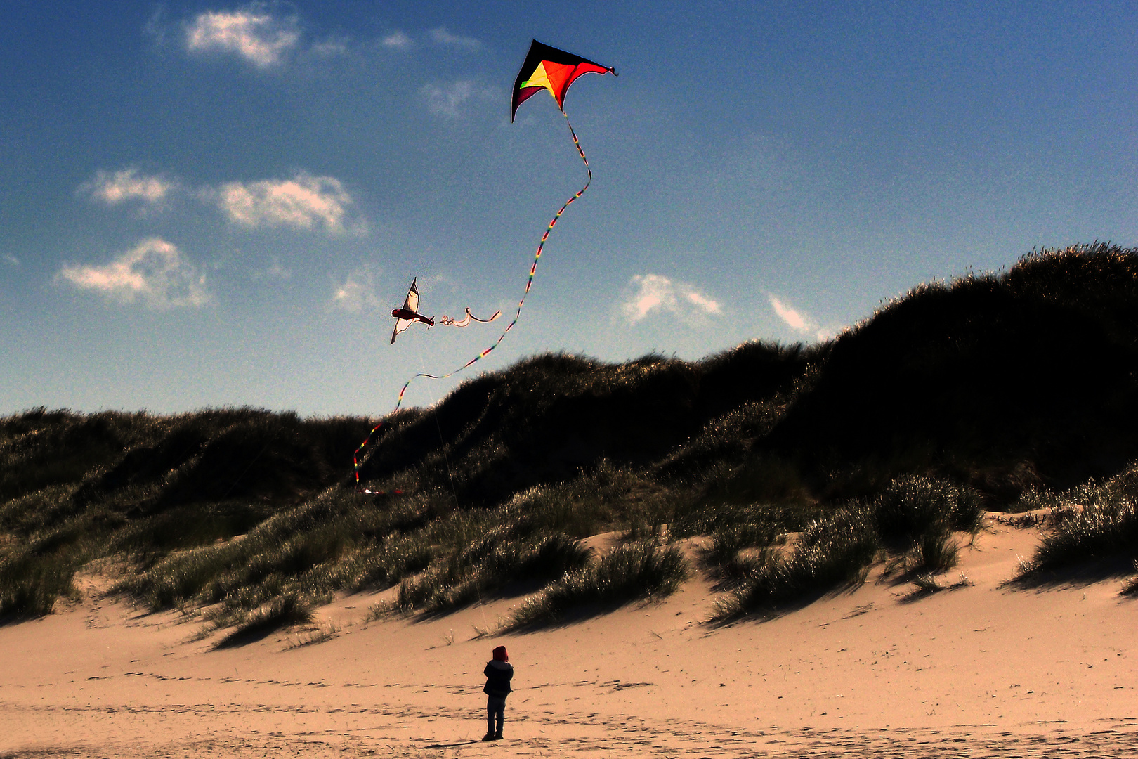 Frischer Herbstwind