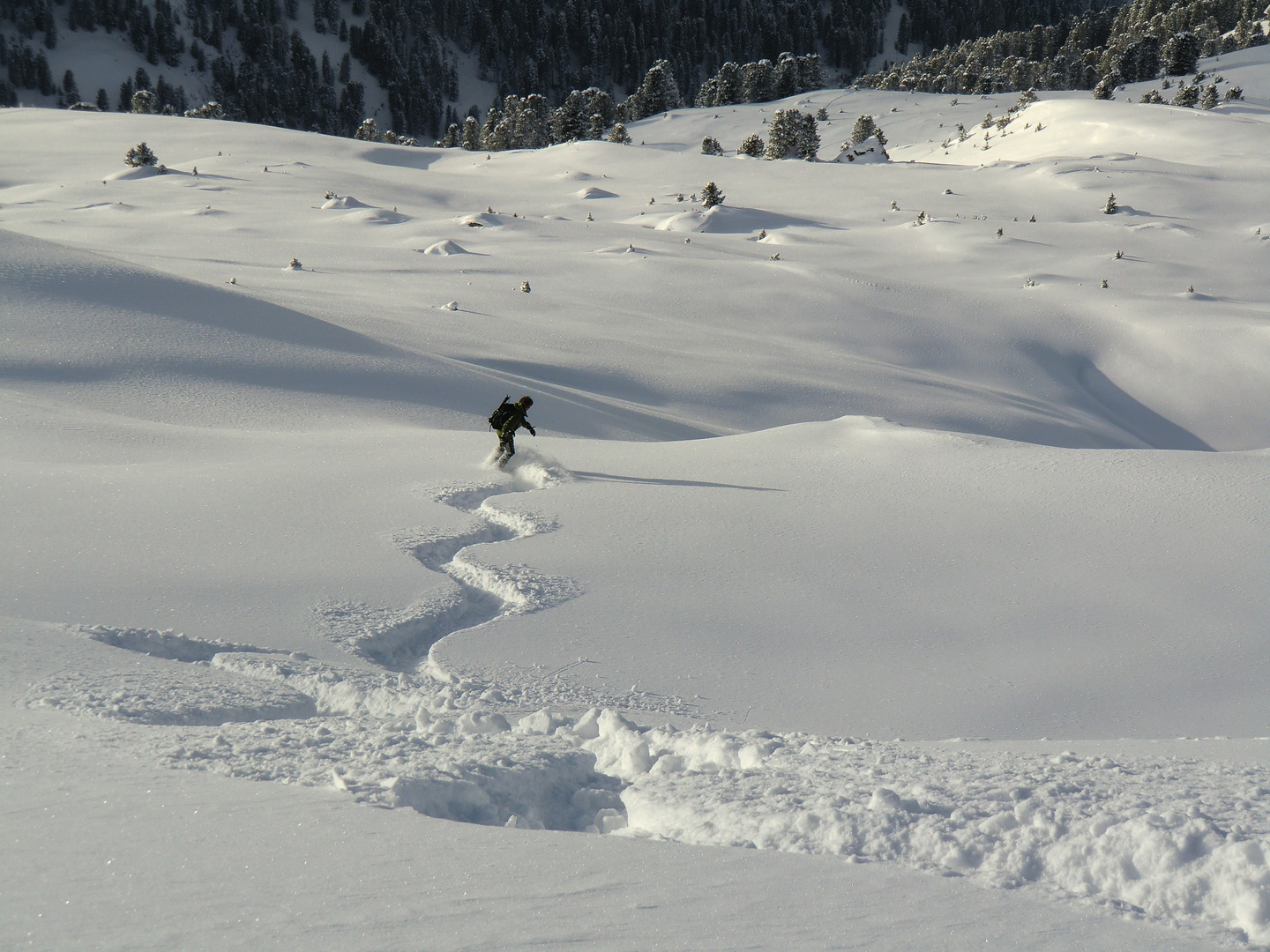 Frischer Pulverschnee