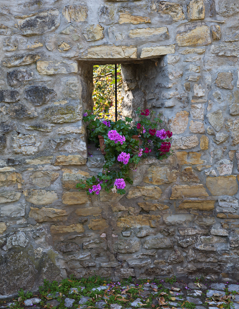 Frischer Schmuck in alten Mauern