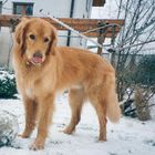 frischer schnee, essentiell nach einem anstrengenden fussballspiel