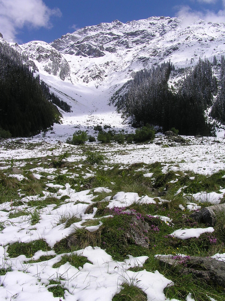 frischer Schnee im Mai 2007