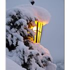 FRISCHER SCHNEE IN TIROL