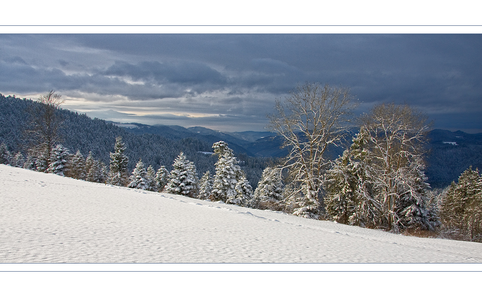 Frischer Schnee von heute