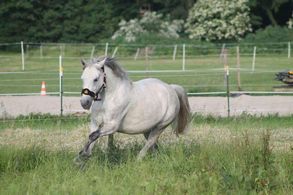 Frischer Wind