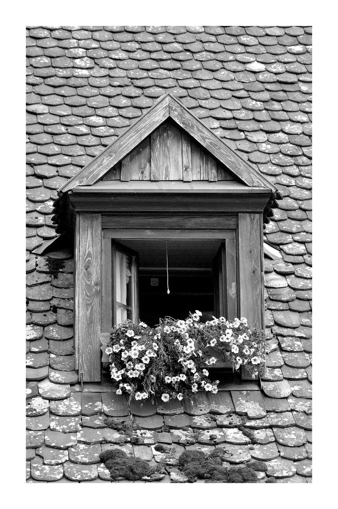 Frischer Wind durch altes Fenster