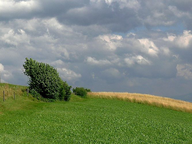 frischer Wind