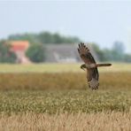 Frisches Bettzeug gegen die Nässe