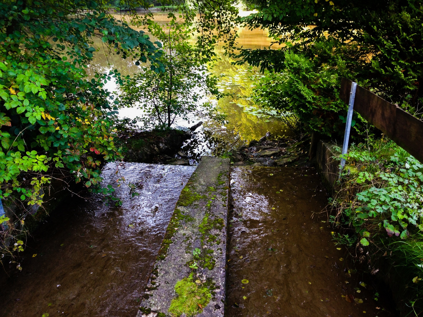 Frisches fließendes Wasser