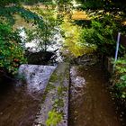 Frisches fließendes Wasser