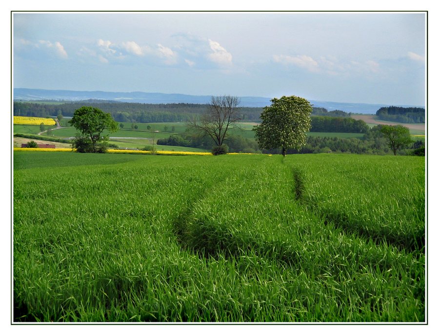 Frisches Grün